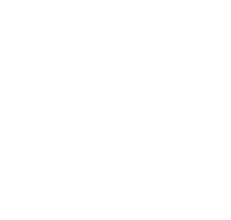Russia Capital Concierge